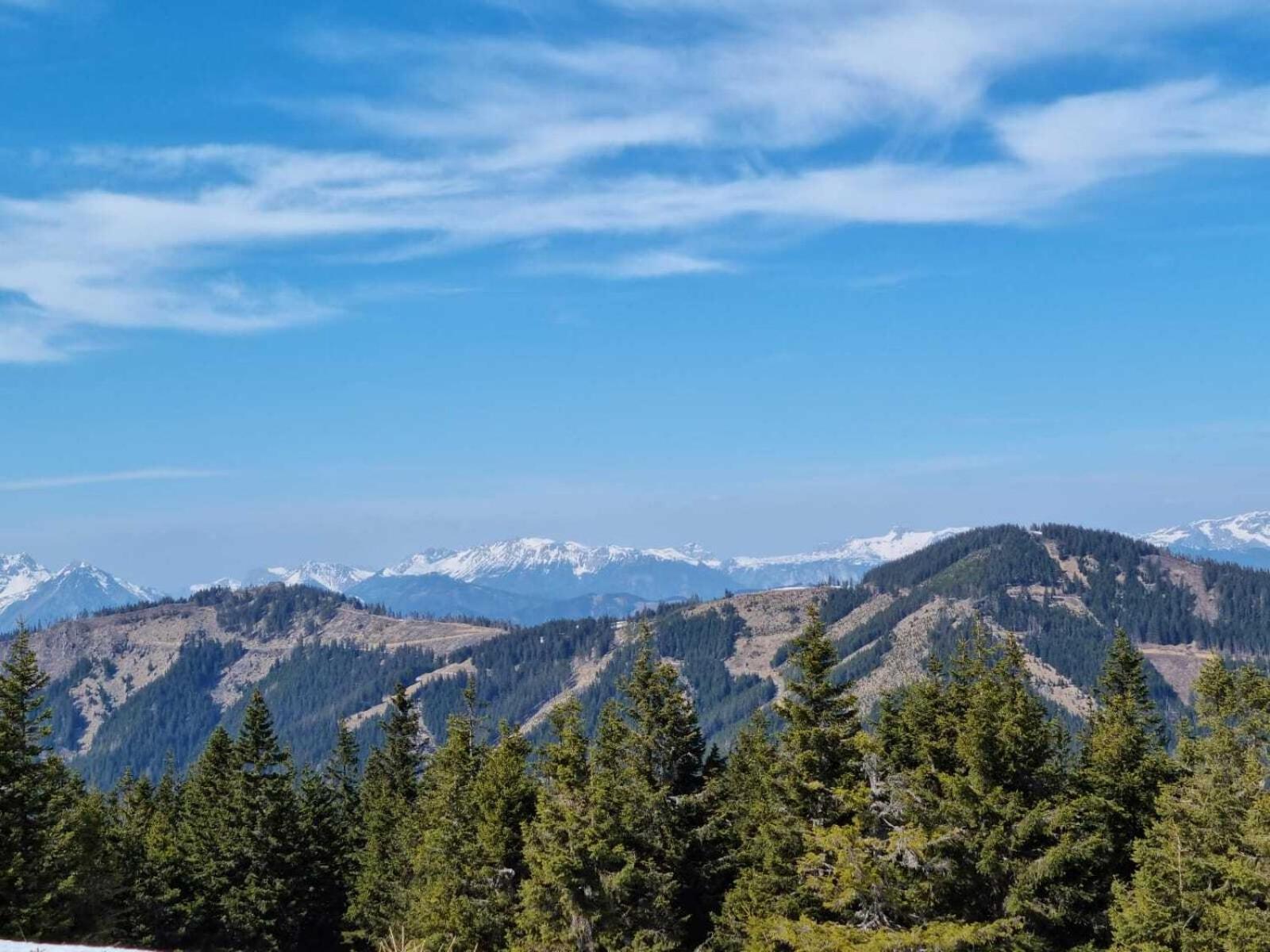Apartments Am Kirchkogel "Laendliche Entspannung Im Herzen Der Steiermark" Pernegg an der Mur Quarto foto