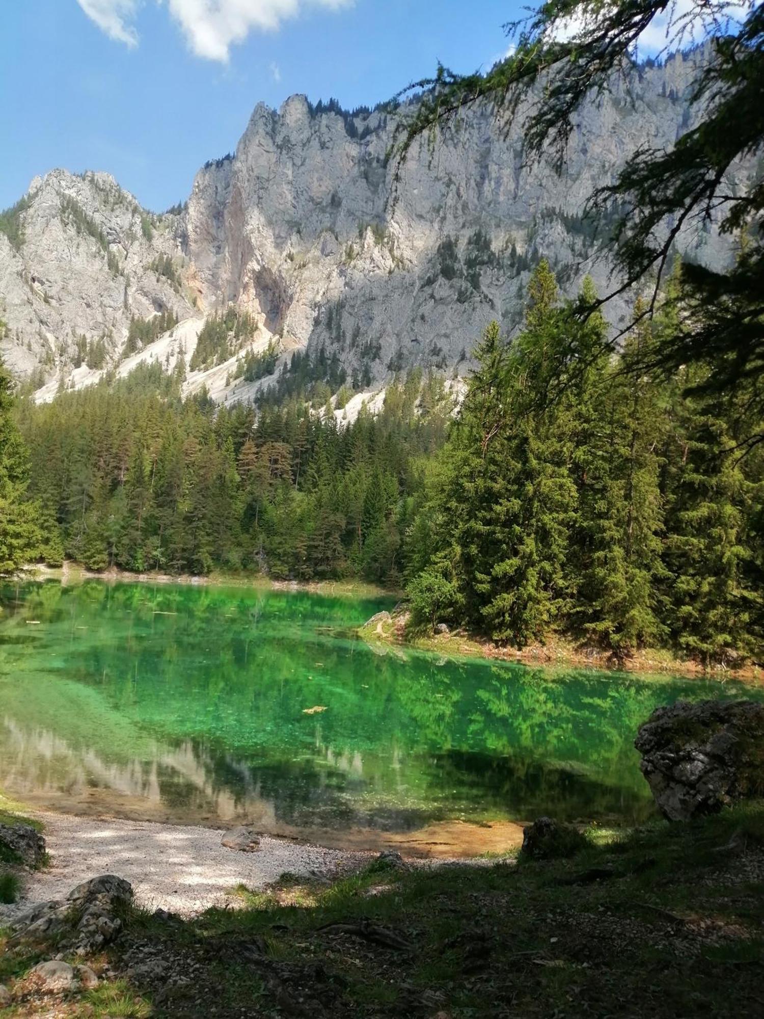 Apartments Am Kirchkogel "Laendliche Entspannung Im Herzen Der Steiermark" Pernegg an der Mur Quarto foto